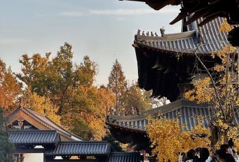 【独立包团】径山寺+私享人工讲解服务(不含门票)【包含人文讲师讲解服务，能够深入解读径山寺的历史文化、建筑特色和佛教内涵；】