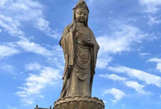 【精致拼小团】宁波舟山普陀山风景区一日游+纯玩祈愿之旅【[精致拼小团] 拼团人数少.慢慢游览.各个景点时间充裕】