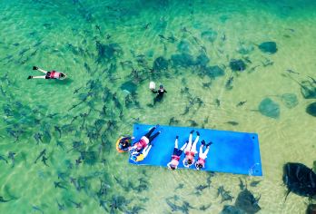 分界洲岛PADI鳐鱼专业浮潜课程体验1v4含浮潜装备赠送拍摄【全程浮潜教练1V4人以内专业体验自由浮潜】