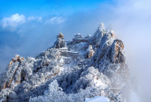 老君山一日游【多班次可选/直达索道站/天天发】【[发团专线]集散中心专线线路优秀导游带团】