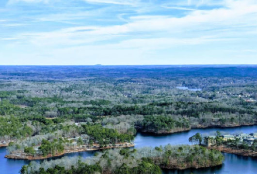 美国亚特兰大-水族馆-石头山公园可定制【中文专车-惬意舒适】【中文专车出行，行程自己定义，无需等待，专属贴心服务，尽享惬意旅程】
