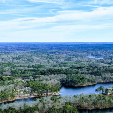 美国亚特兰大-水族馆-石头山公园可定制【中文专车-惬意舒适】