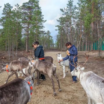 俄罗斯摩尔曼斯克-萨米民俗村亲子互动-特色体验一日游