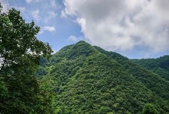 娄山关景区+乌江寨一日活动【上门接送-无购物】【上门接送-无购物】