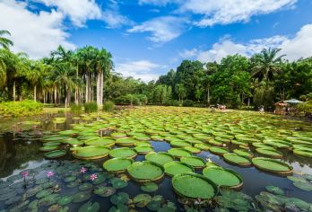 西双版纳：热带植物园+傣族园+私人订制/不拼团/导游O【全程中文/英文/小语种服务，沟通无障碍，景点可调】