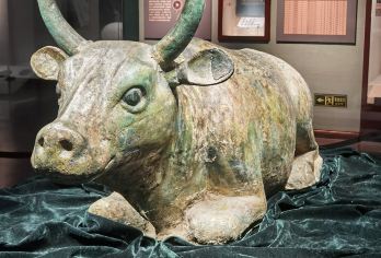 宁夏博物馆+贺兰山岩画+私人定制/ 各语种导游/包车FV【全程中文/英文/小语种服务，沟通无障碍，景点可调】