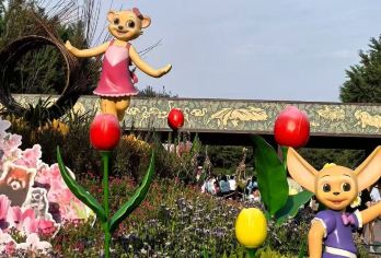 【北京野生动物园】独立专享成团&多种语言沟通&无需拼车【提供多种语言沟通服务，方便不同国籍的游客与工作人员交流】