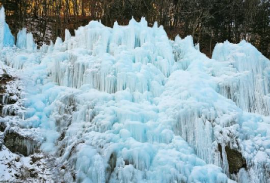 冬季限定|鱼飞溪谷冰川X现采草莓X南怡岛X晨静树木园夜灯光节【冬季的鱼飞溪谷冰川就像一幅冰雪童话！晶莹剔透的冰壁在阳光下闪耀，让您仿佛置身于仙境般的探险之旅！】