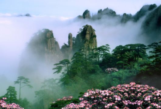 【懒系爬山.4 趟缆车】黄山+玉屏云谷往返一日游|导游+专车【4趟索道，极大节省体力，串联前山、后山核心景点，轻松打卡。】