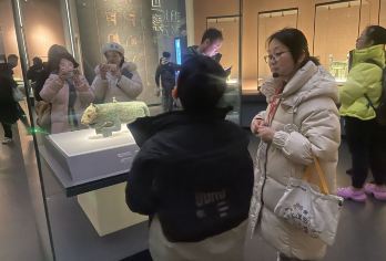 【金牌说】辽宁省博物馆讲解 免票 3小时 智能课件 小拼团【[金牌导游讲师团]他们博古通今，幽默睿智，善于挖掘文物背后的故事，用有趣的方式还原历史真相；】