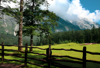 玉龙雪山云杉坪小索道+蓝月谷一日游（7-9人小团）【[日照金山] 免费升级日照金山（5:30左右） 正常出发(7:00)左右 ！ 自由选择】