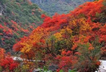 郑国渠+袁家村一日游【静谧美丽郑国渠*关中风情袁家村】【霜降已过，秋意正浓，一渠碧水绕山转，万树红叶映日红——郑国渠】