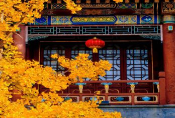 避暑山庄+普宁寺+普陀宗乘之庙+须弥福寿一日游 多套餐可选【[缤纷景点]承德地标景点全覆盖，无鸡肋景点，探网红打卡地，出游不留遗憾！】