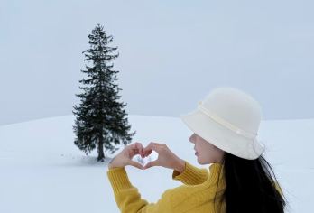 日本札幌+旭川动物园+美瑛青池+白须瀑布 中文包车一日游【上门接送，行程自由 安心畅游 中文司导 行程可调c】