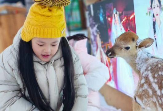 中国雪乡+大秃顶子山一日游【2-6人小团+亚布力西站接送】【[小团出行]纯玩无购，保姆服务，高端小团，亚布力西站起止雪乡‘游玩时间充足，游玩项目丰富】