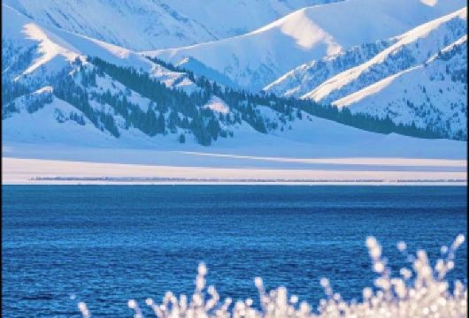 新疆博乐+赛里木湖一日游【6人封顶＋景区环湖游+含门票】【1、[就是随性]1人起天天发团 。】