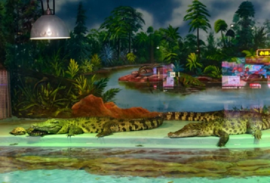 极地馆+东北虎林园+索菲亚教堂一日游【私家小团●一单一团】【私密出行尽享轻奢体验，非传统意义司机兼向导-多为友善的当地人，用对待朋友的方式带你玩遍冰雪之都】