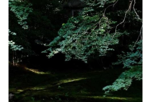 日本京都往返奈良-奈良公园.若草山-春日大社-红叶巡礼红叶季【专业行程定制，精选热门景点，高效游玩不走回头路，贴心服务保障，轻松】