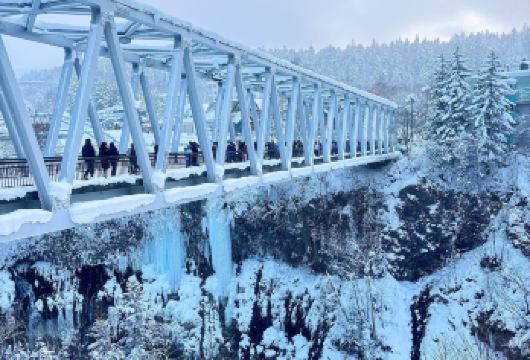 日本北海道旭川美瑛｜白须瀑布｜孤独圣诞树｜札幌往返｜中文专车【尊享一对一高端行程定制，多日豪华包车专属礼遇，专业旅行顾问24小时恭候垂询。】
