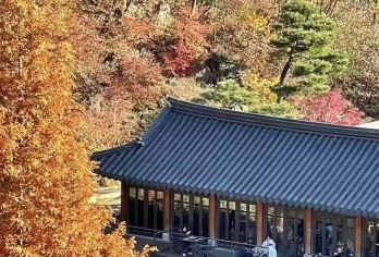 首尔恩平韩屋村与和谈林一日游【漫步北汉山脚下的恩平韩屋村，感受现代韩屋的静谧美学】