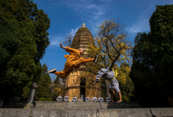 少林寺+塔林+三皇寨一日游【纯玩不进店，3星级以上优秀导游服务，保证团队质量。】