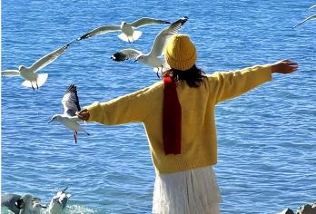 一日游解锁双秘境！羊湖圣蓝+冰川奇景 8-16人团多车型【[羊湖冰川]羊湖游览1 3号观景台，可近距离结束湖水，卡若拉冰川去前山游玩，可徒步爬栈道】