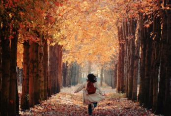 韶关岭南红叶世界一日游【漫步红枫林+霍比特小屋+天空之境】【[岭南红叶世界]“岭南红叶之乡”之称。 满目映红，片片枫叶情，观赏价值高】