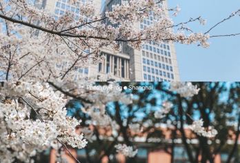 上海复旦大学研学/名校亲子研学【含入园预约+研学老师讲解】【历史遗迹与现代建筑、学术氛围、高校研学、6-10人精致小团、中文导游讲解、半日深度精品游。】