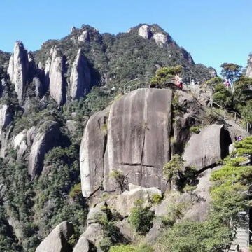 贺州包车地陪导游翻译地接陪同接送旅游展会商务考察