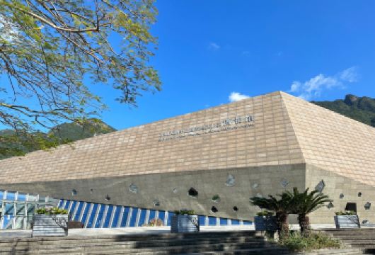 私家小团上门接送|深圳较场尾+西冲沙滩+大鹏地质公园一日游【私家旅行：一单一团，不拼客，专属旅行； 品质服务：车上门接送，专职司机护航】