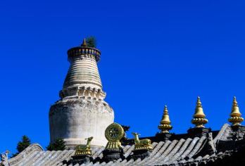 2-8人小团-五台山一日游商务车太原环内上门接送【[精致小团]2-8人拼小团，可选单程直通车套餐】