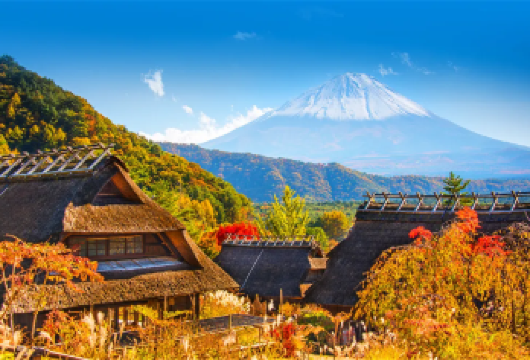 东京富士山西湖合掌村落,河口湖,忍野八海一日游,赠合掌村门票【赠送富士西湖合掌村门票，疗愈之里根场】