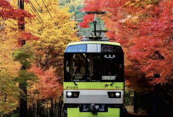 【秋日限定·赏枫打卡】小众玩法+纯玩小团贵船神社一日游【独特赏枫季，解锁季节限定仪式感，南禅寺、三千院枫景如画，贵船神社特色小众游】