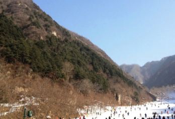 翠华山滑雪场一日包车游【1单1车私家团】三环内上门接送/纯玩【西安市三环内接送让您出行无忧，专业带队老司机出行无忧[5座7座9座可选]】