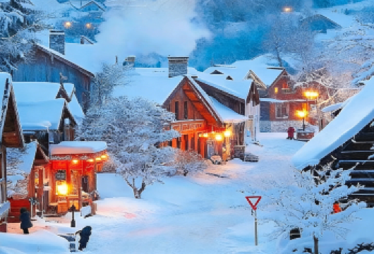 西岭雪山景区一日游【纯包车+冬季赏雪滑雪圣地+三环内接送】【[放心游玩]真纯玩，亲身体验“春赏杜鹃夏避暑，秋观红叶冬滑雪”美景】