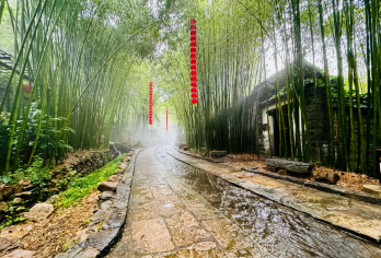平台推荐！临沂包车一日活动【8大景点任选|红嫂家乡/竹泉村】【安全可靠：专业司机保障行车安全，适合商务、旅游等个性化需求。】