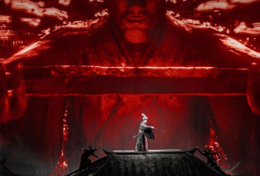 赳赳大秦演出+西安博物院【春节票咨询余票，确保能有票】【赠送西安博物院讲解】