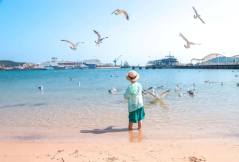 【2-6人小团+上门接】日照万平口+出海捕鱼+森林公园1日游【[优选车型]专注5-7座商务车精品商务小团，上门接送】