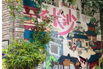 长沙一日游【岳麓山里的千年书院，红墙黛瓦配银杏，逛完喝杯茶颜，感受慢时光。隔壁湖南大学的林荫道超有青春感】