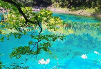 【随时出行】四川九寨沟大门票+观光车往返打卡自由行一日游【[多套餐]自由选择，随时出行】