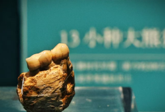 [免预约·大咖讲解]重庆三峡博物馆大咖讲解15人小团&长安说【[大咖讲解]大咖老师带队，分享巴渝文化】