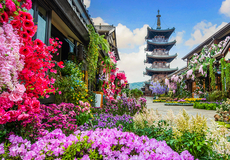 无锡拈花湾+鼋头渚一日游【繁华美景&坐船登太湖仙岛/拈花灯影*纯玩赏花】