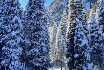 南山牧场西白杨沟+菊花台+乌拉斯台一日游|6人团·自由行【一价全含，西白杨沟+菊花台+乌拉斯台；】