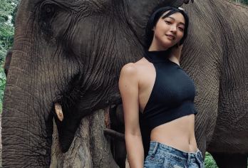 野象谷+原始森林公园纯玩一日游15人团+金牌导游7000好评【[服务保障]金牌导游带队，当地权威一手地接，正规运营车辆、持证上岗司机，规范操作，您安心出游即可】