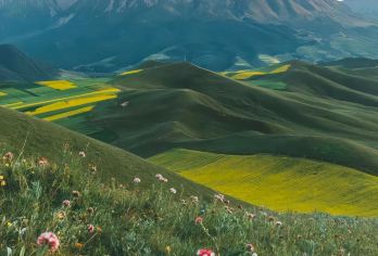 卓尔山+祁连大草原+岗什卡一日游【包车游】【1，达人带队，精选线路，深度体验，创新玩法，贴心管家，摄影帮手，路上美景随走随停！】