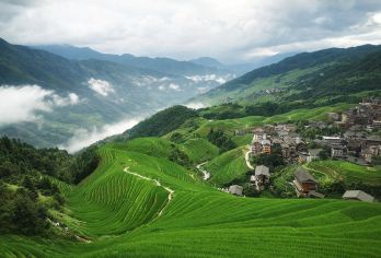 桂林龙脊梯田+黄洛瑶寨一日游（商务车+上门接送）【商务车上门接送，无忧直达】