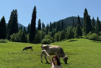 夏尔西里-赛里木湖野奢秘境包车日游【私人定制游】【行程可调】【探秘夏尔西里原始秘境，邂逅会呼吸的森林与隐匿的精灵，当暮色漫过雪山，抵达赛里木湖—上帝遗落的蓝色瞳孔】