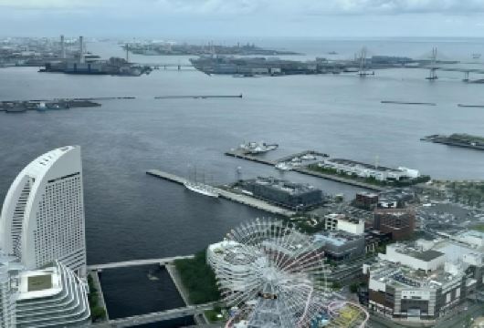 日本东京+横滨定制包车一日游/行程可调-可定制多日【包车一日游，解锁旅行新方式！独立车辆配备经验丰富的老司机，为您量身打造专属行程。】