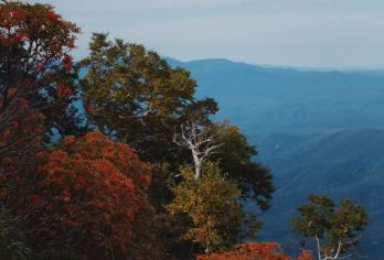 日本北海道大雪山国立公园+层云峡【秋季赏枫徒步/中文专车】【尊享一对一高端行程定制，豪华包车专属礼遇，专业旅行顾问24小时恭候垂询。】