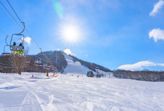 日本北海道星野度假村滑雪场接驳服务【中文司机/包车定制】【尊享一对一高端行程定制，豪华包车专属礼遇，专业旅行顾问24小时恭候垂询。】